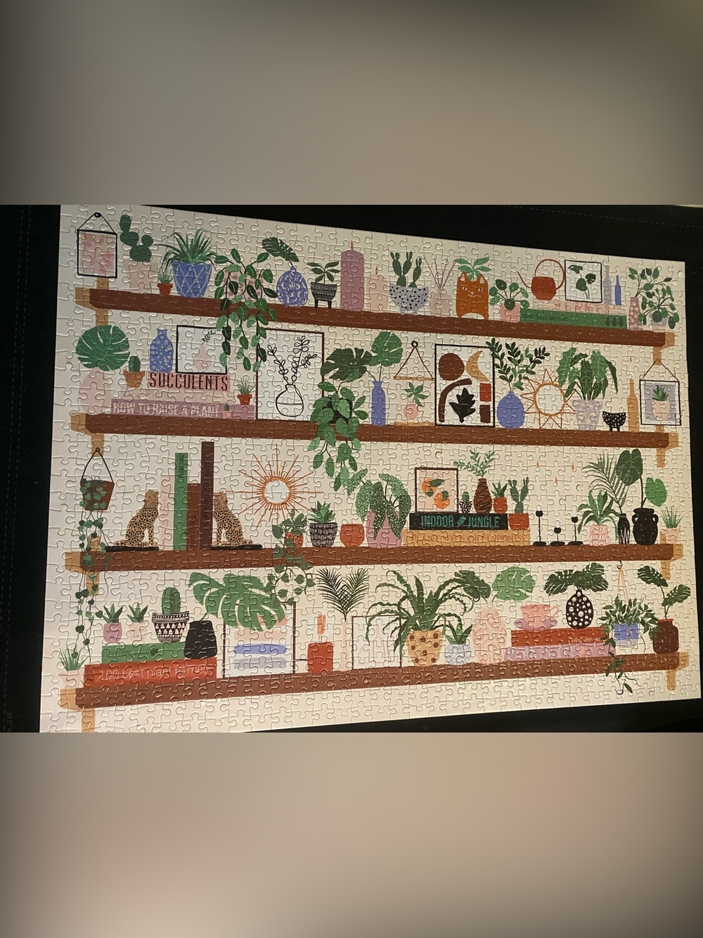 Galison 1000 Piece “Plant Shelfie” Puzzle